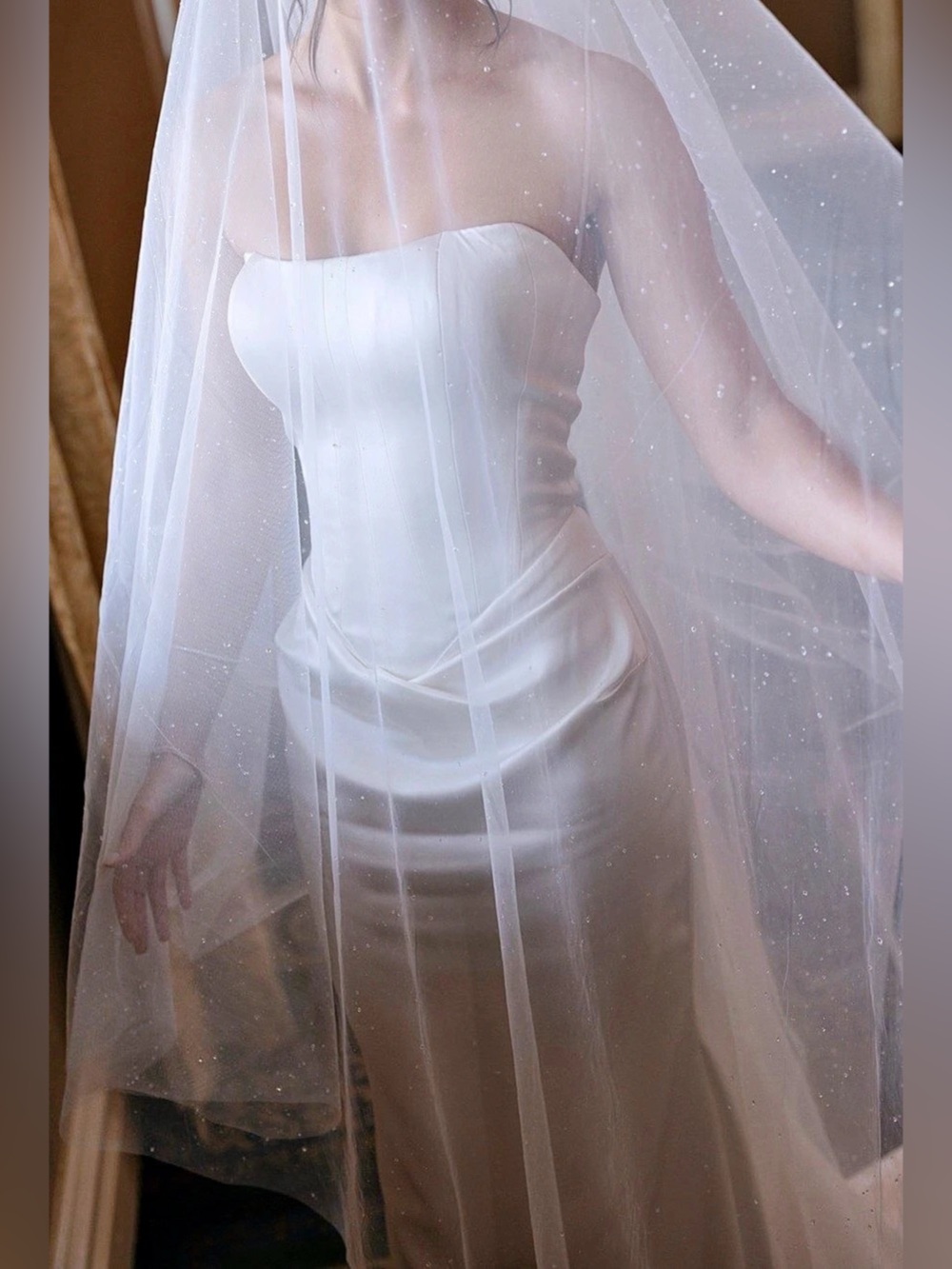 Pnina Tornai Dewdrop Crystal Cathedral Veil